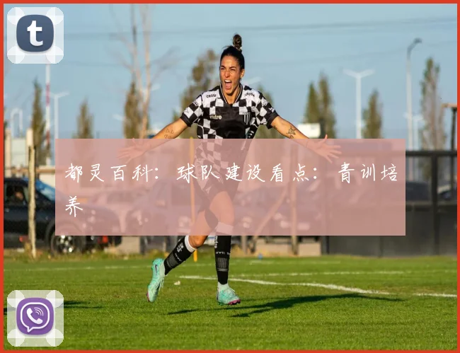 都灵百科：球队建设看点：青训培养