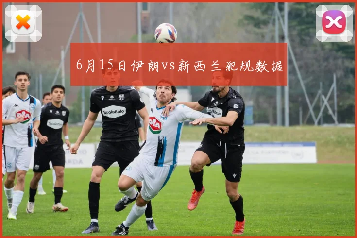 6月15日伊朗vs新西兰犯规数据