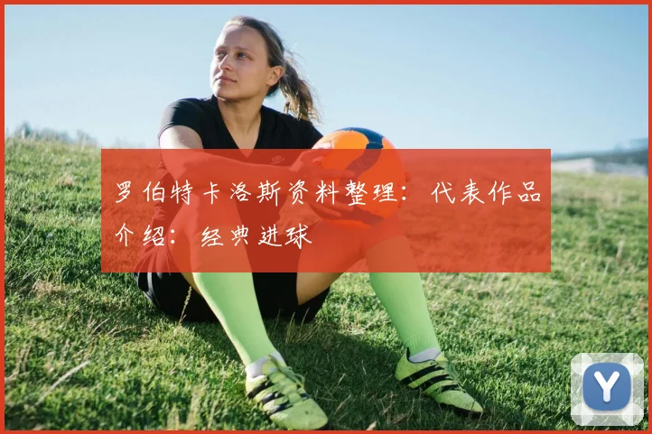 罗伯特卡洛斯资料整理：代表作品介绍：经典进球
